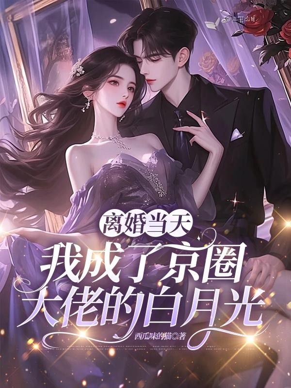 離婚當天，我成了京圈大佬的白月光