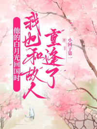 他的白月光回國時，我也和故人重逢了