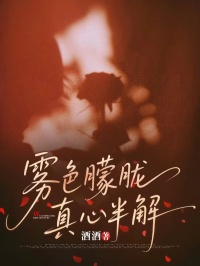 霧色朦朧，真心半解