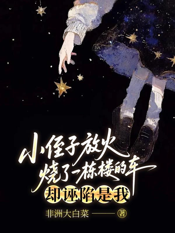 小侄子放火燒了一棟樓的車，卻誣陷是我