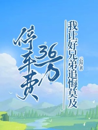 停車費36萬，我讓好兄弟追悔莫及