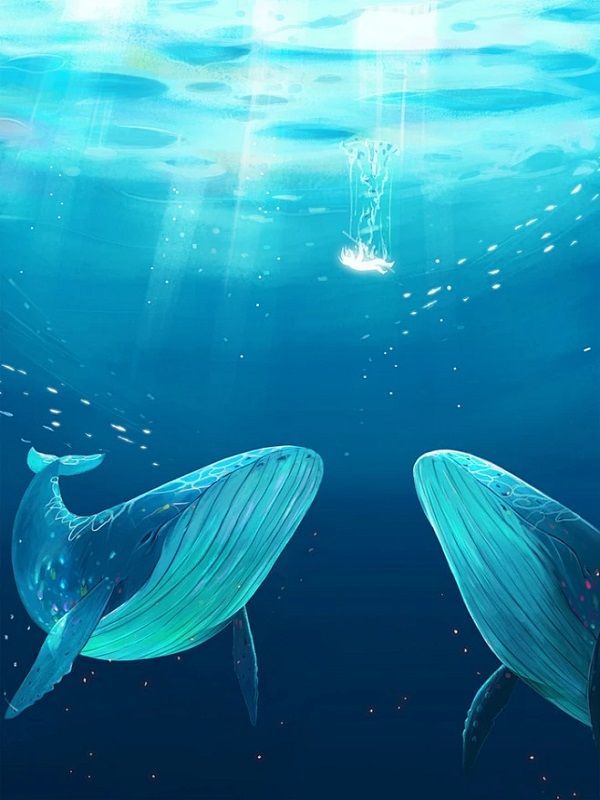 蜜月期老公為白月光執意去禁區潛水