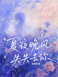 夏夜晚風失去你