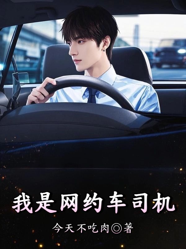 我是網約車司機