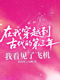 在我穿越到古代的第三年，我看見了飛機