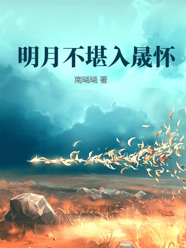 明月不堪入晟懷