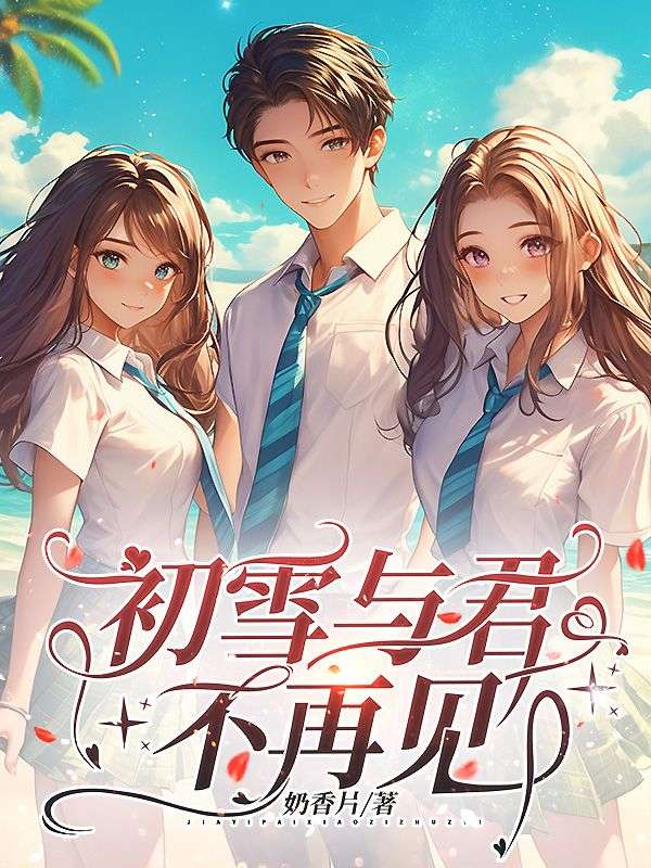 初雪與君不再見