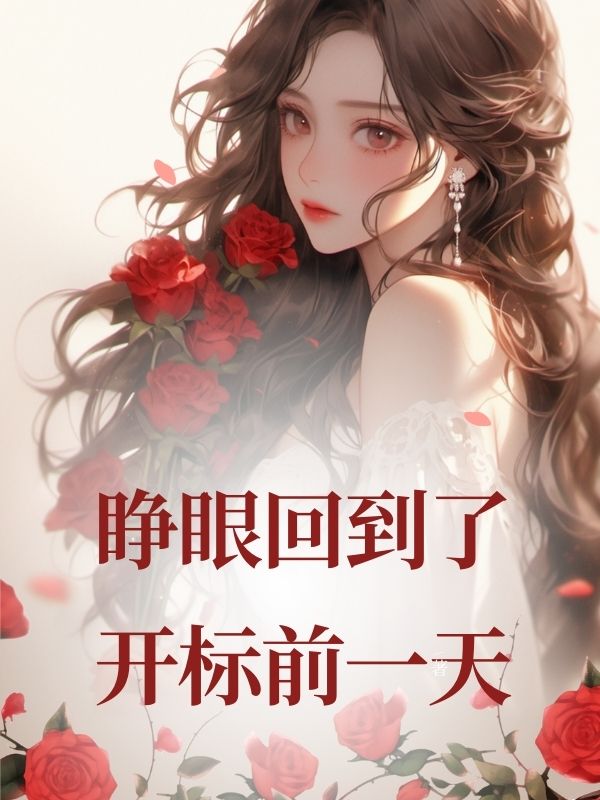 睜眼回到了開標前一天