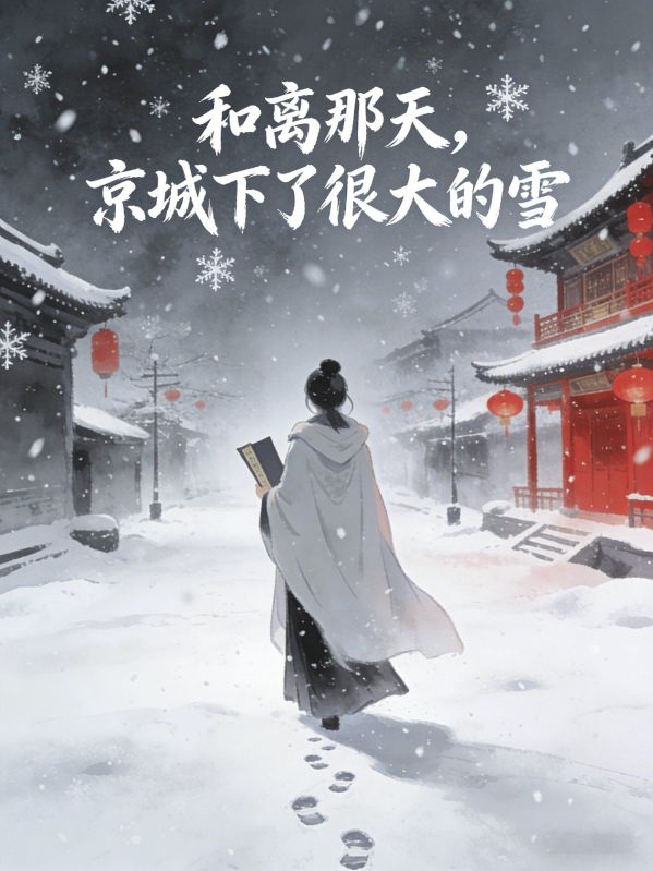 和離那天，京城下了很大的雪