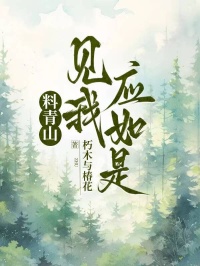 料青山見我應如是