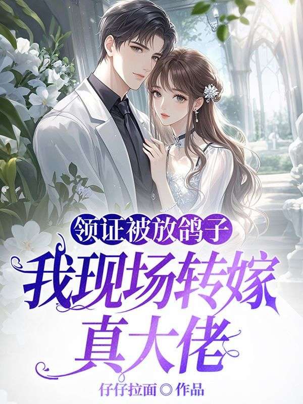 領證被放鴿子，我現場轉嫁真大佬