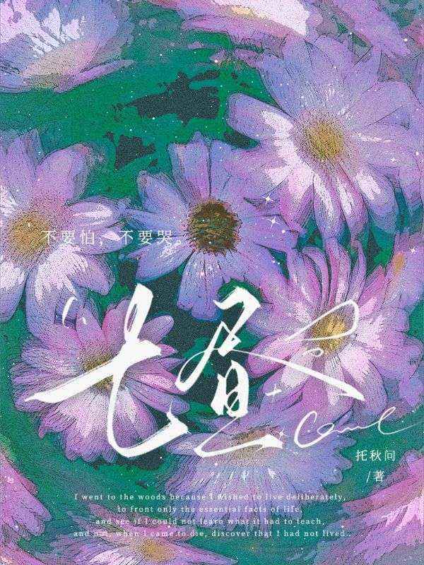 七晝