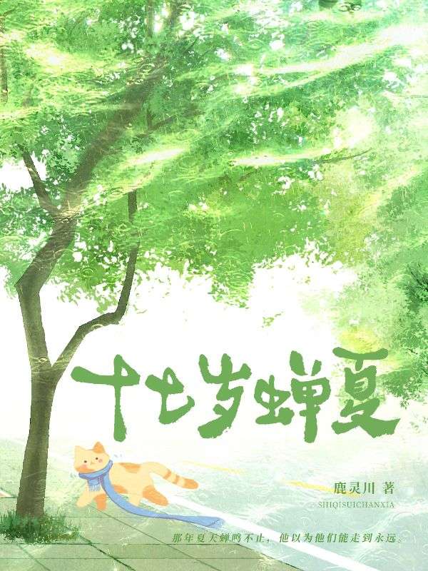 十七歲蟬夏