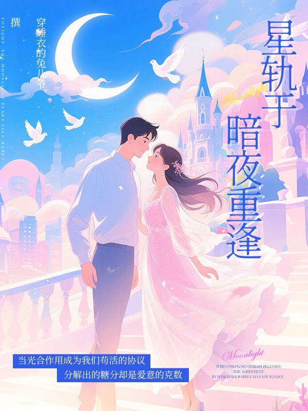 星軌於暗夜重逢