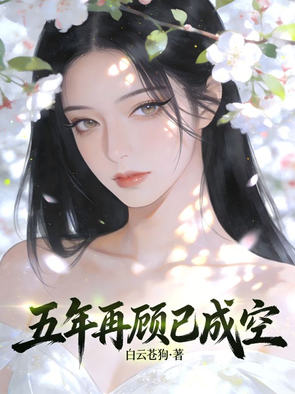 五年再顧已成空