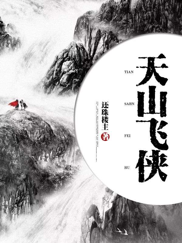 天山飛俠