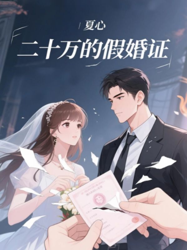 二十萬的假婚證