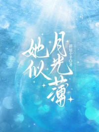 她似月光薄