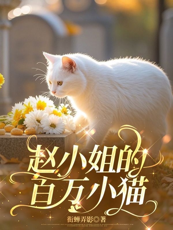趙小姐的百萬小貓