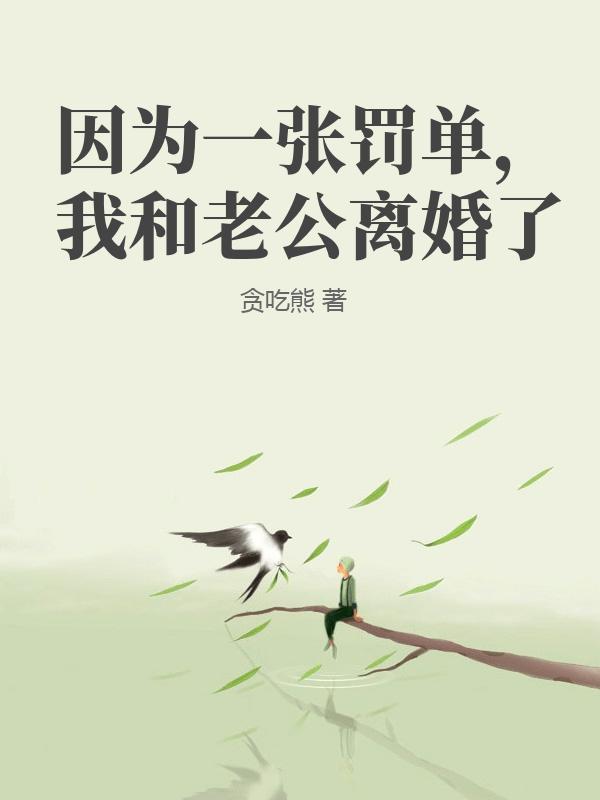 因為一張罰單，我和老公離婚了