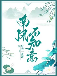 南風不知意