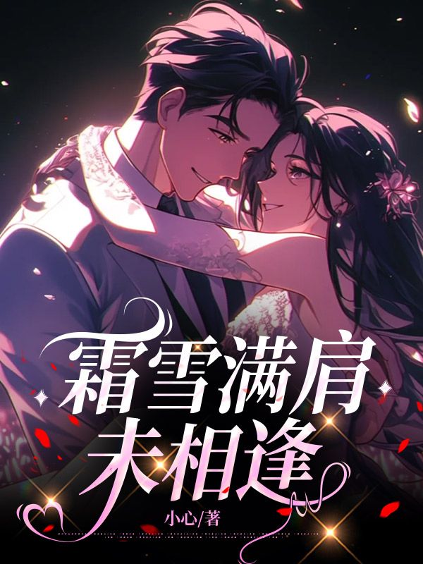 霜雪滿肩未相逢