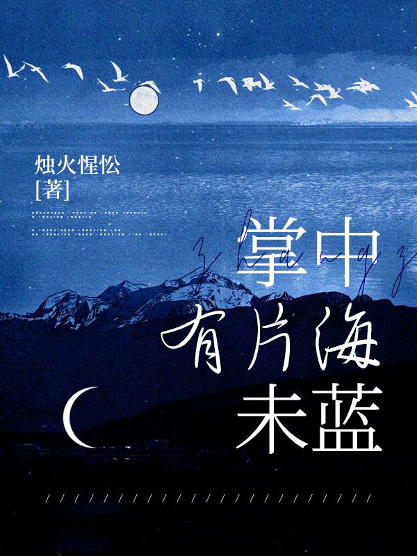 掌中有片海未藍
