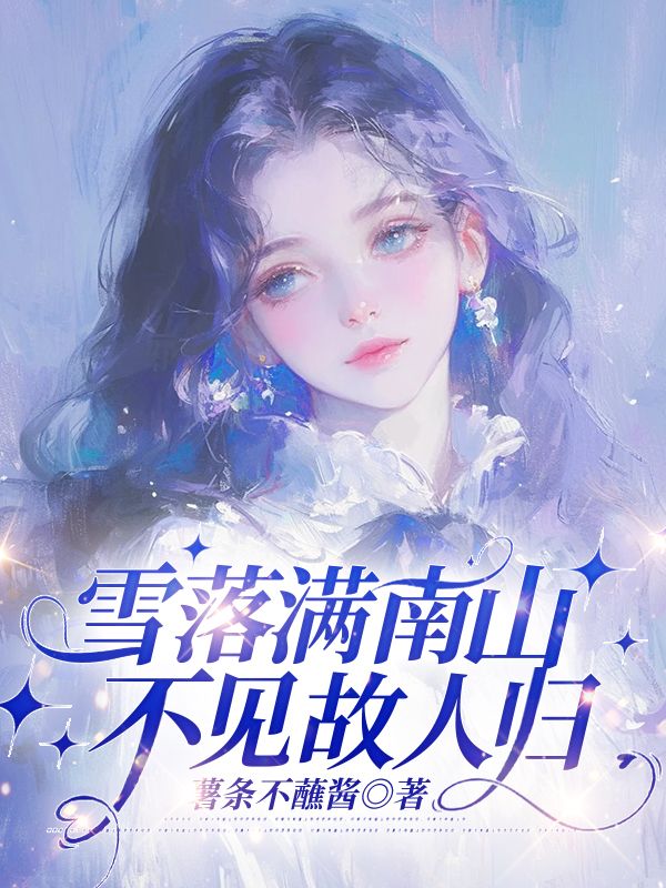 雪落滿南山，不見故人歸