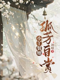 小丫鬟她孤芳自賞
