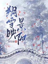 朔雪映景陽