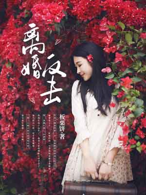 離婚反擊