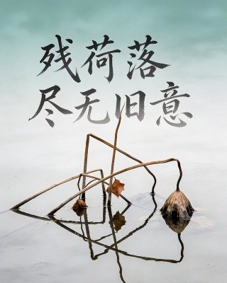 殘荷落盡無舊意