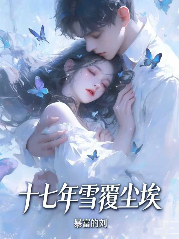 十七年雪覆塵埃