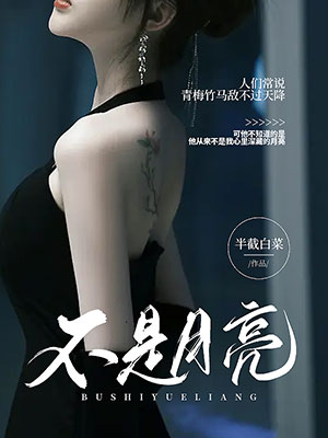 不是月亮