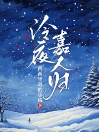 泠夜嘉人歸