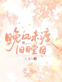 晚風未渡舊瞠目