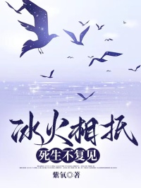 冰火相抵，死生不複見