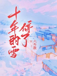 十年的雪停了