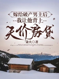 嫁給破產男主後，我讓他背上天價房貸