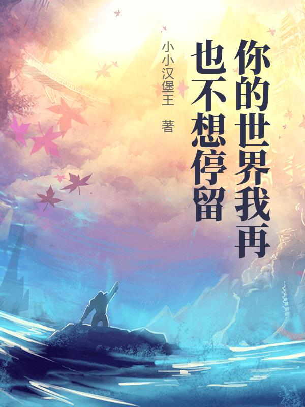 你的世界我再也不想停留