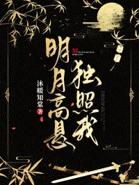 明月高懸獨照我