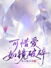 可惜愛如鏡破碎