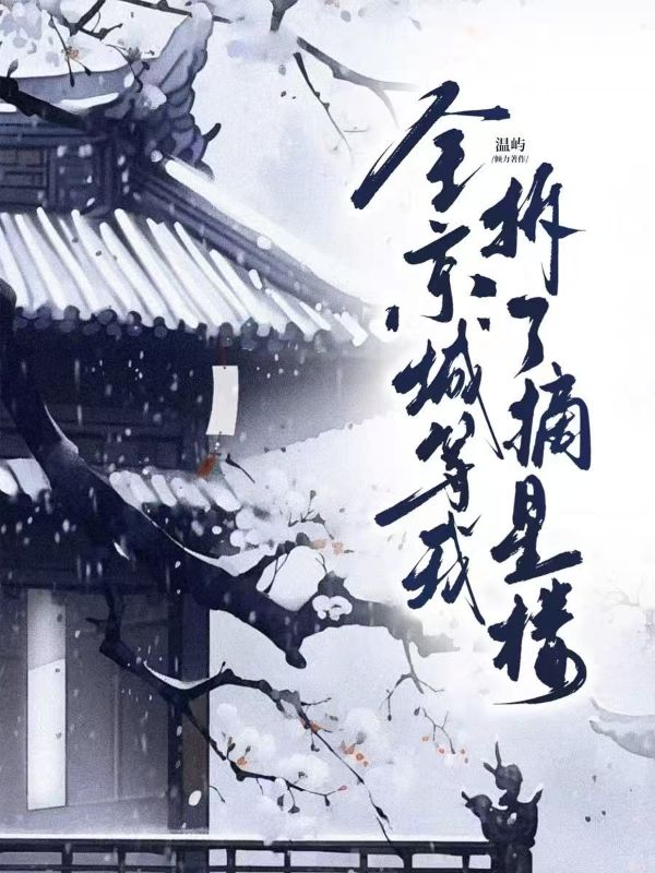 全京城等我拆了摘星樓