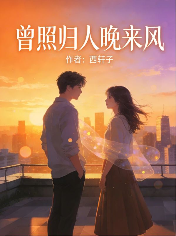 曾照歸人晚來風