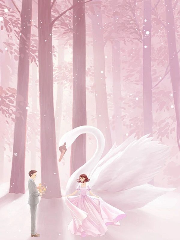 心口的疤，與你皆落幕