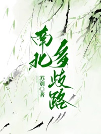 南北多歧路