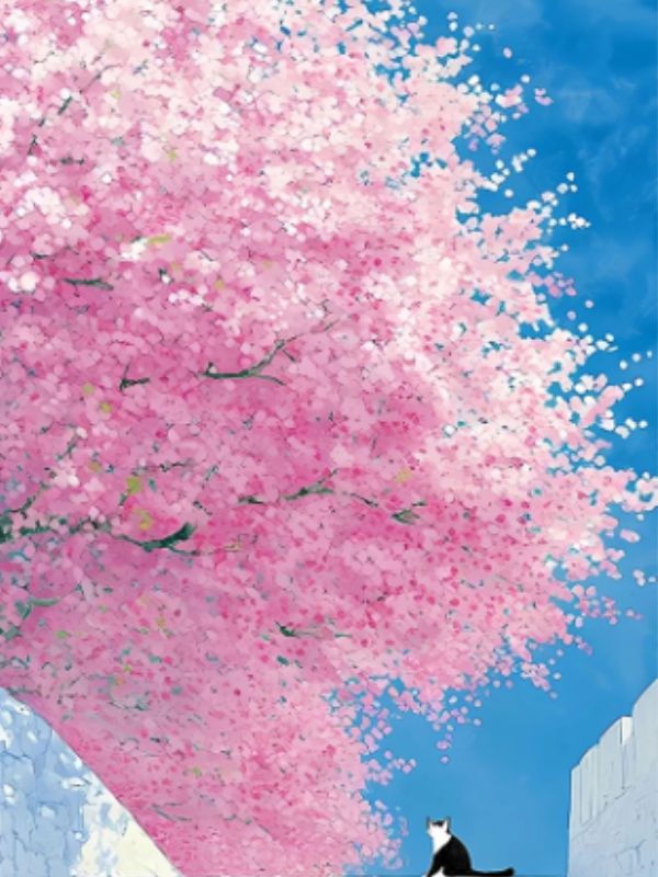 婆婆說老祖宗嫌我貓糧貴，我省錢，今年不燒紙了