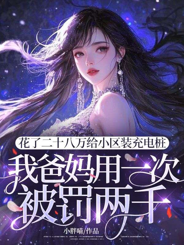 花了二十八萬給小區裝充電樁，我爸媽用一次被罰兩千