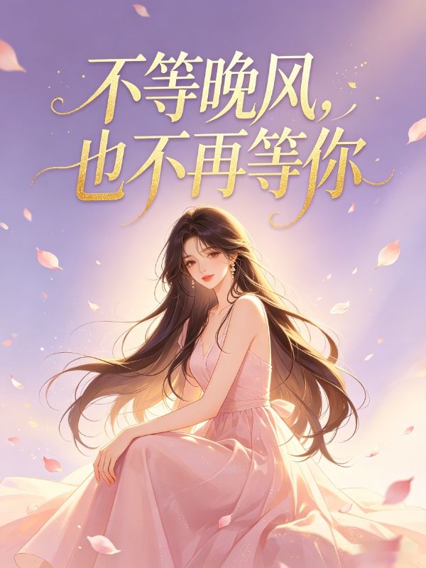 不等晚風，也不再等你