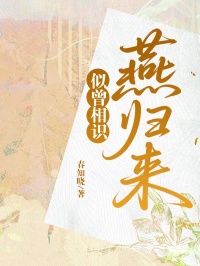 似曾相識燕歸來